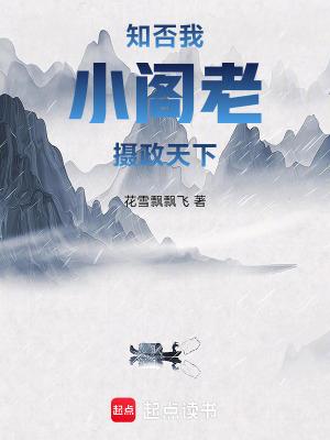 知否我小阁老摄政天下完整版