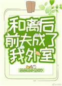 和离后前夫成了我外室免费阅读全文免费