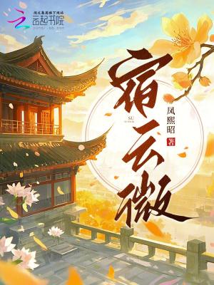 宿云微材质