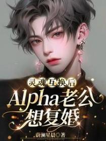 灵魂互换之后我弯了