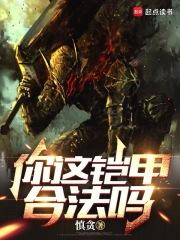 你这铠甲合法吗无防盗