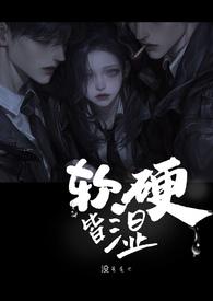软硬是指什么