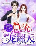 总裁大人我超乖免费阅读全文