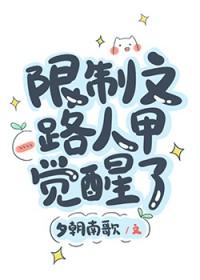 限制文路人甲觉醒了免费阅读全文