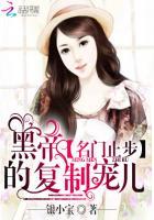 名门止步黑帝的复制宠儿 银小宝正版