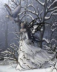 飞鸿雪爪TXT