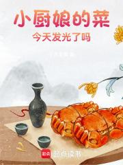 小厨娘菜系