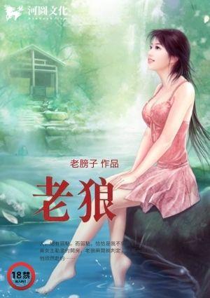老狼演唱会