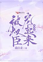 权臣总是被强制长佩