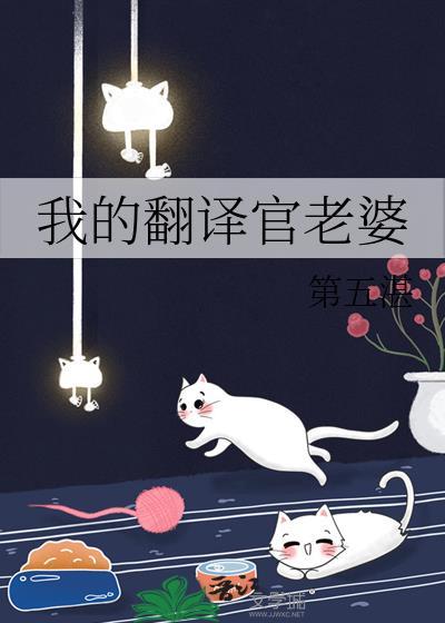 我的翻译官老婆许苏然