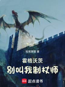 霍格沃茨别叫我制杖师在线阅读