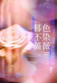 暮色不染蔷薇免费阅读