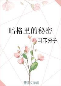 暗格里的秘密电视剧免费观看全集播放