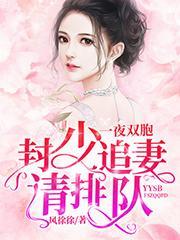 一夜双胞封少追妻请排队