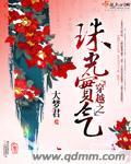 穿越之珠光宝气大梦君