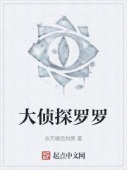 大侦探波罗扮演者介绍