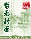 南宋末年的穿越