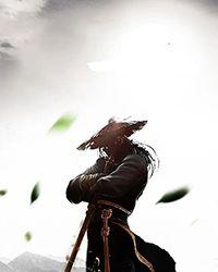 乱世猎人武功排名