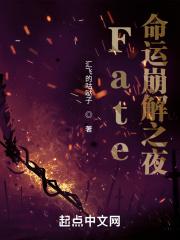 fate stay night 命运之夜