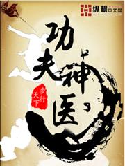功夫神医全文TXT免费