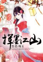 挥墨刺山河[穿书