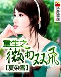 重生之微雨双飞番外