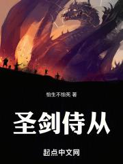 圣剑守护
