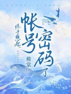账号的密码忘了怎么办