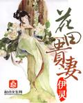 花田贵妻TXT百度