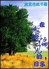 傲慢与偏见的地方